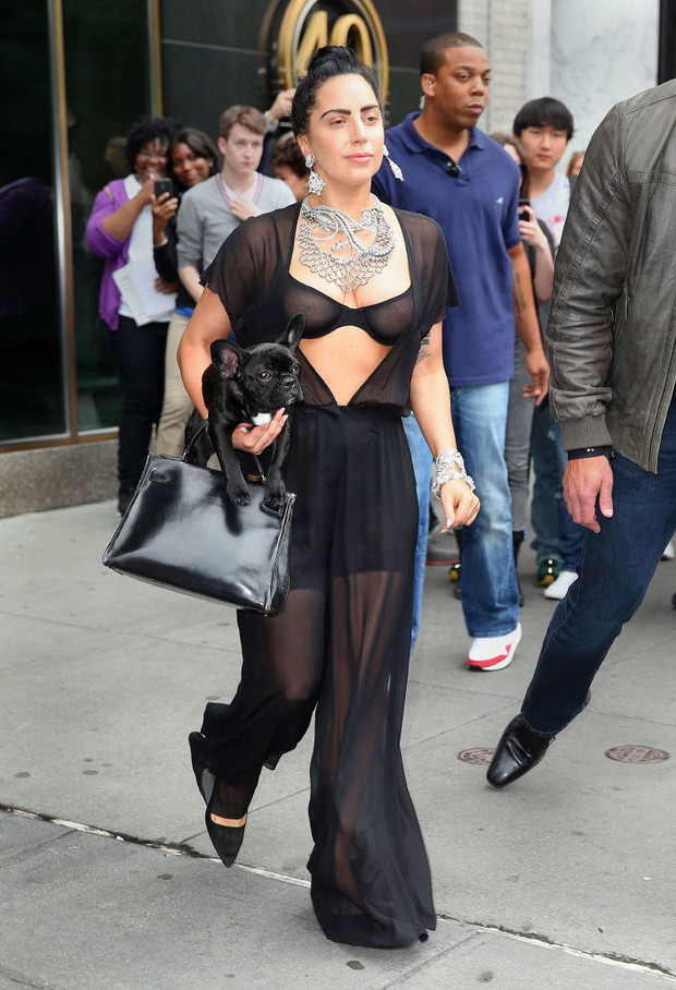 Lady Gaga na spacerze z psem