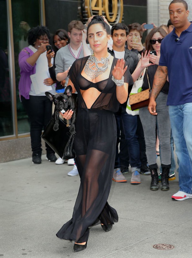 Lady Gaga na spacerze z psem