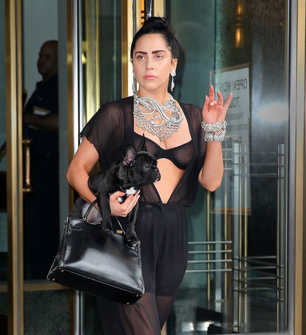 Lady Gaga na spacerze z psem