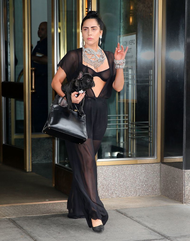 Lady Gaga na spacerze z psem