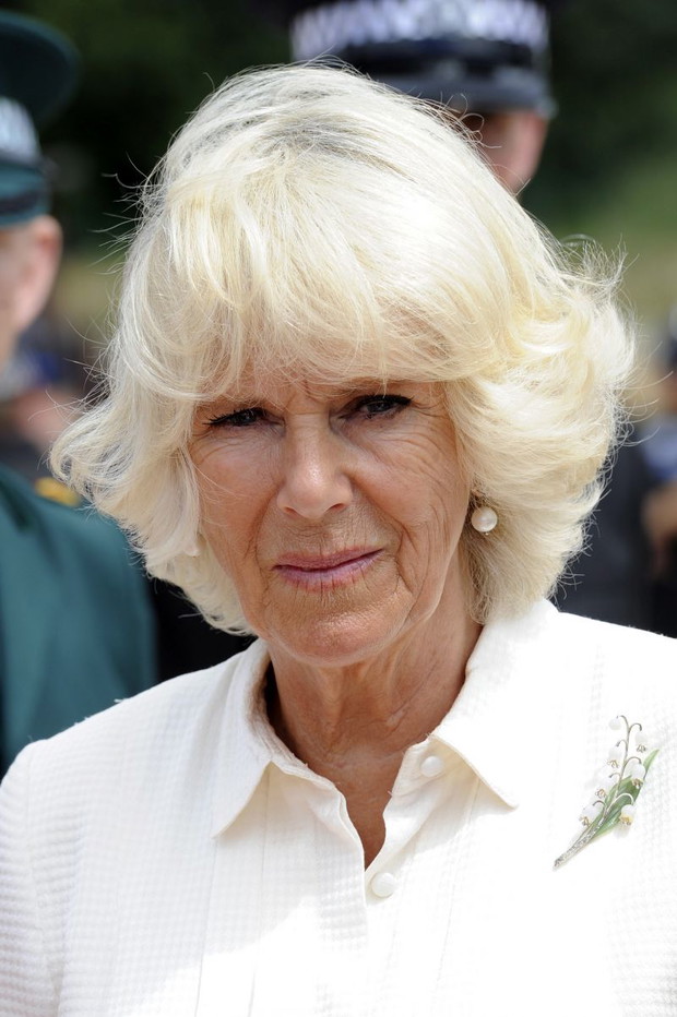 książę Karol i Camilla