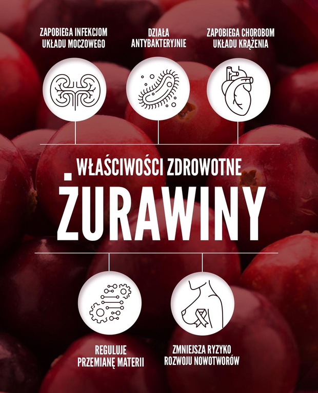 wlasciwosci-zdrowotne-zurawiny-infografika-2419660-3c8d049