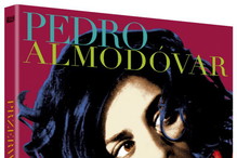 Przerwane objęcia DVD