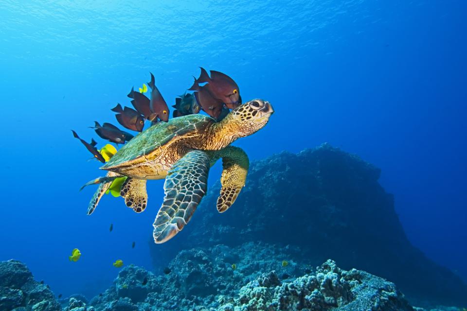 Ocean Przygód