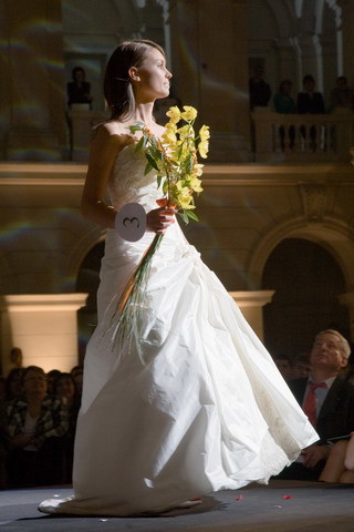 Wybory Miss Politechniki 2008 - zdjęcie