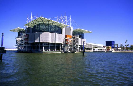 Turismo-de-PortugalOceanario-w-Parque-das-Nacoes-Lisbon-fot-Antonio-Sacchetti-sm-64a086d