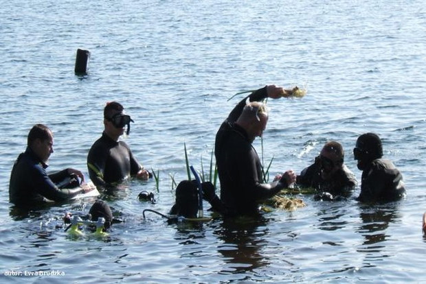 Tatarak - film Andrzeja Wajdy - zdjęcie