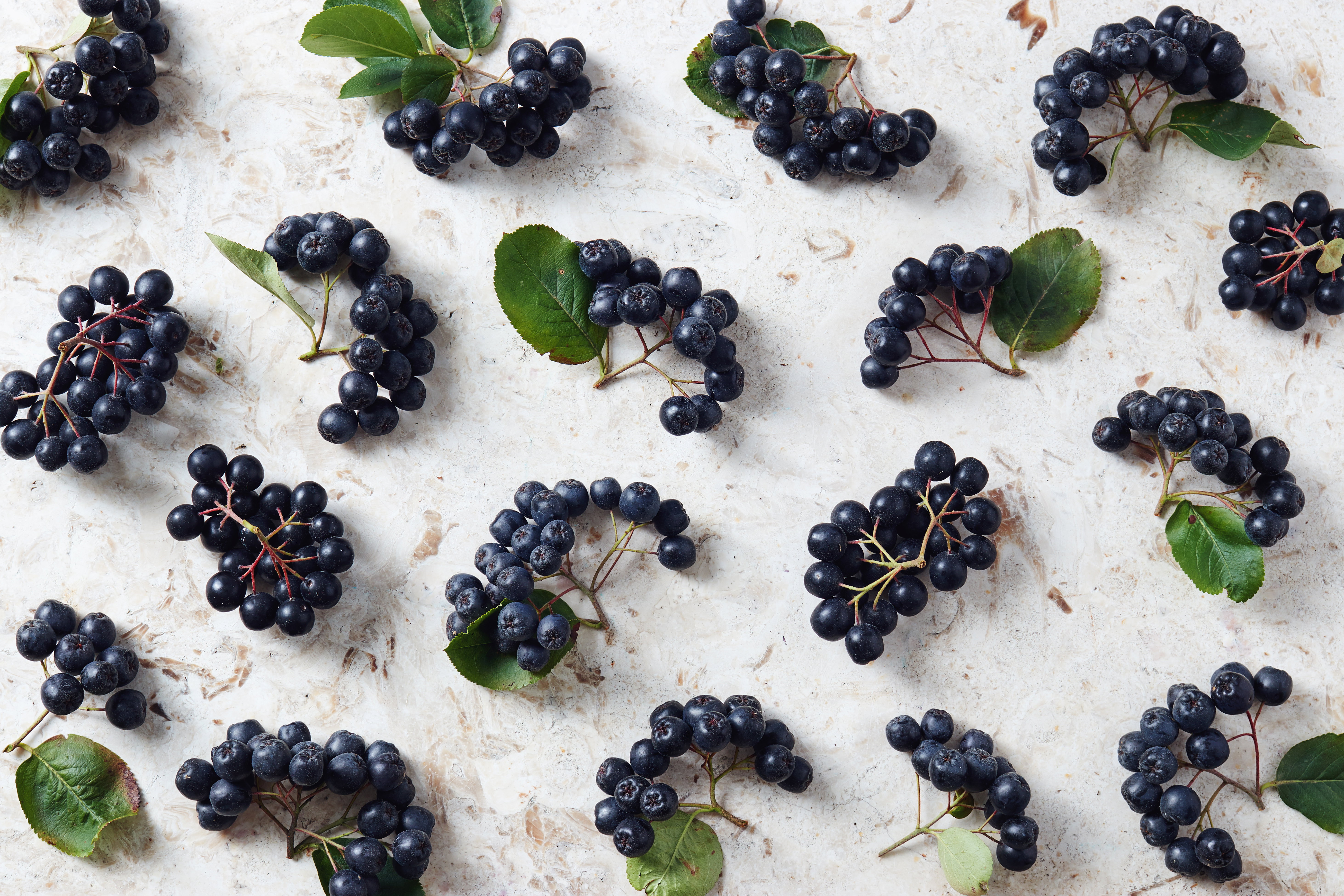aronia a cukrzyca