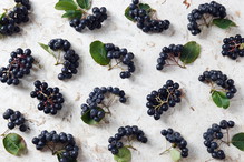 aronia a cukrzyca