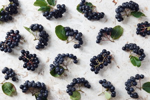 aronia a cukrzyca