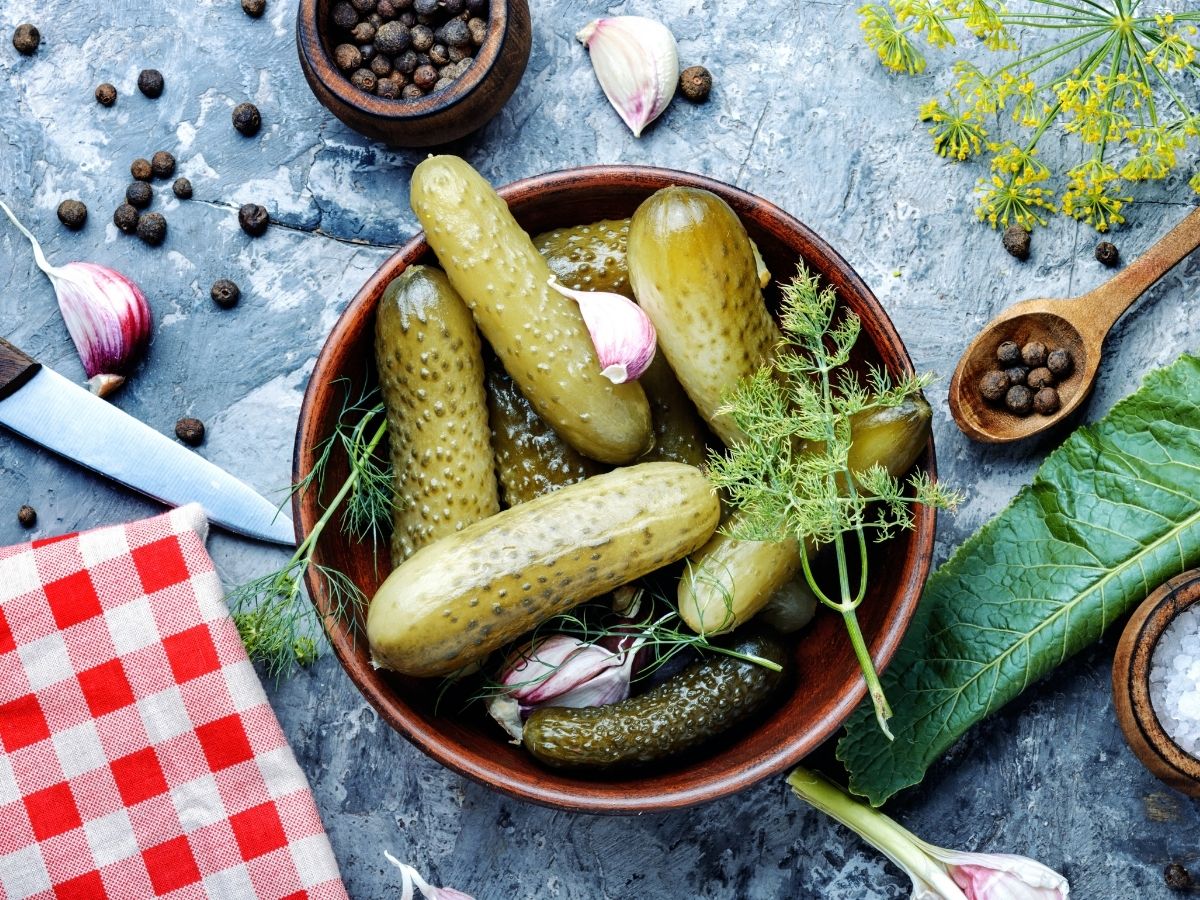 ogórki kiszone przy dnie moczanowej