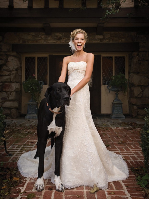 2be Bridal Elizabeth Darcy - suknie ślubne wiosna-lato 2010 - zdjęcie