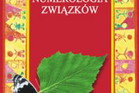 Numerologia związków - Małgorzata Brzoza
