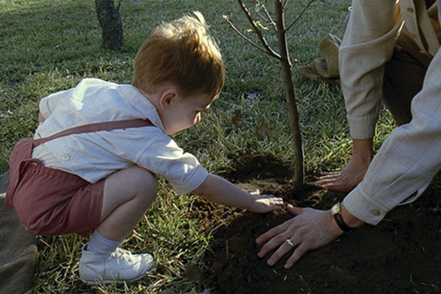Drzewo życia (reż. Terrence Malick) - zdjęcie