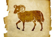 Nieznane