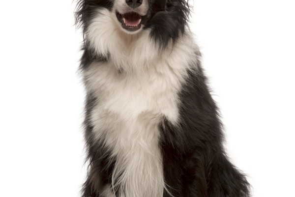 Fotolia