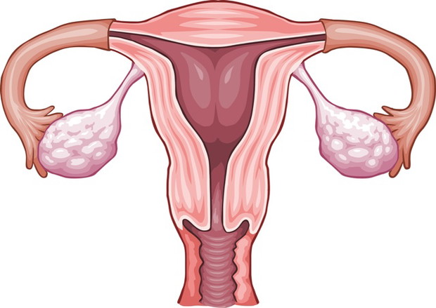 Badanie cytologiczne – krok po kroku