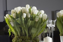 fot. Fotolia
