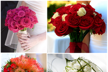 fot. Fotolia