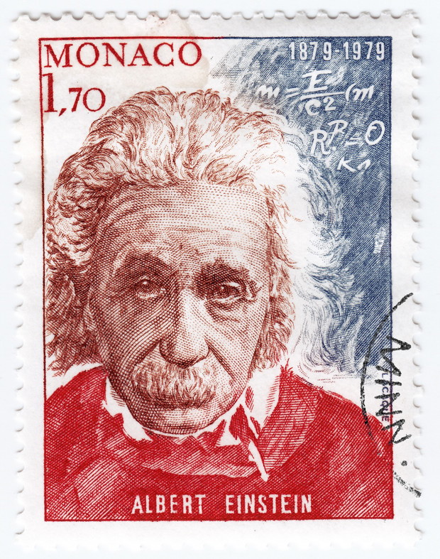Znani wegetarianie (galeria)