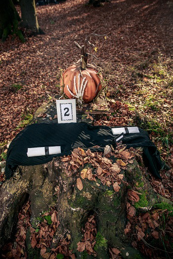 Sesja ślubna w klimacie Halloween
