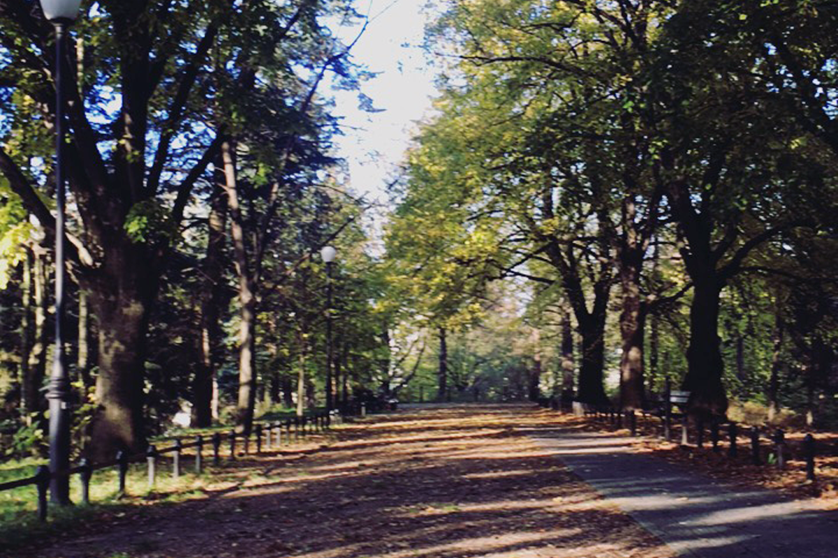 okaldkowe-w-dobrym-rozmiarze