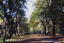 okaldkowe-w-dobrym-rozmiarze