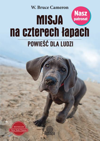 Misja na czterech łapach