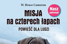 Misja na czterech łapach