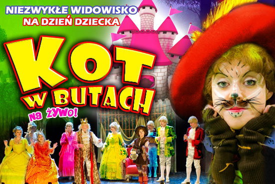 Kot w butach