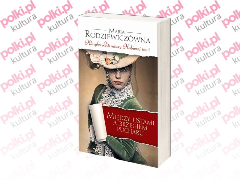 książka Między ustami a brzegiem pucharu