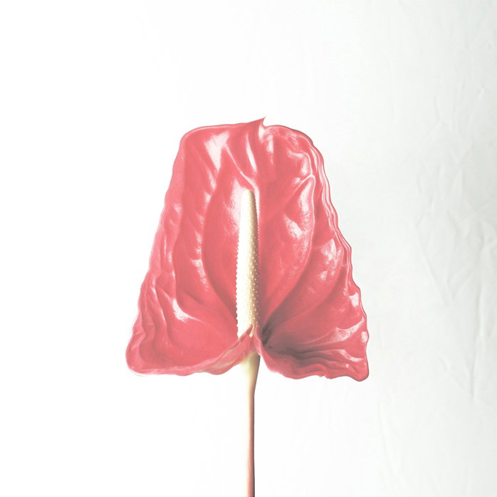 Kamp!_LP_Cover700x700