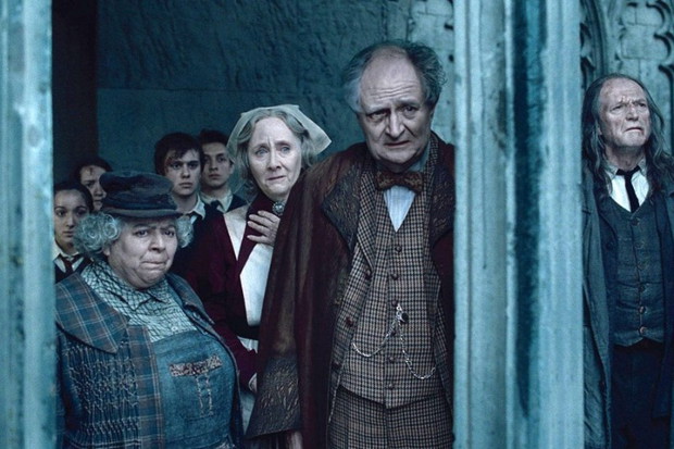 Harry Potter i Insygnia Śmierci: część II (reż. David Yates) - zdjęcie