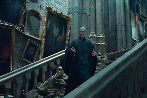 Harry Potter i Insygnia Śmierci: część II (reż. David Yates) - zdjęcie