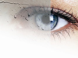 Alergia na wiosnę