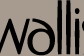 Wallis - dla Pań ceniących elegancję