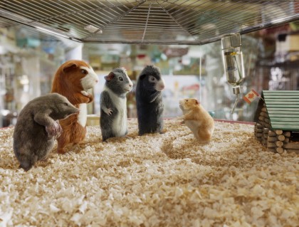 G-FORCE