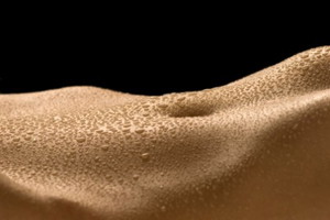 Jak działa układ hormonalny? – część I