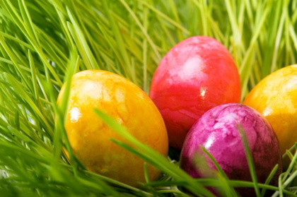 colored easter eggs in grass