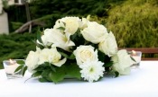 wedwoje26232-6289338