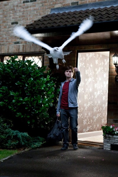 Harry Potter i Insygnia Śmierci (reż. David Yates) - zdjęcie