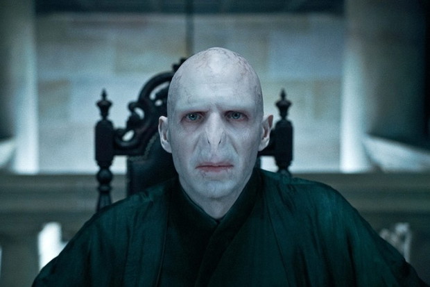 Harry Potter i Insygnia Śmierci (reż. David Yates) - zdjęcie