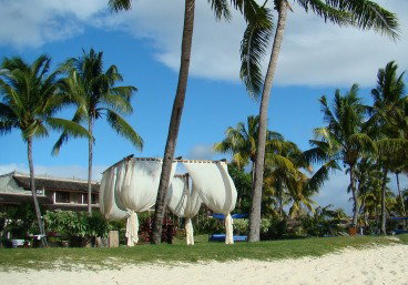 Drapieżna fala na Mauritius