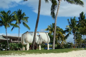 Drapieżna fala na Mauritius