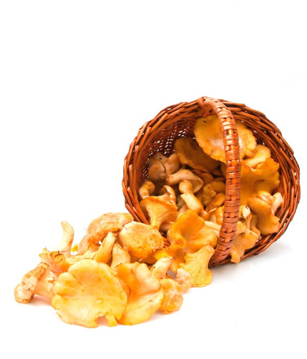 Pieprznik jadalny