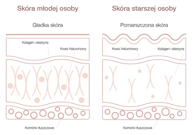 skora-2507210-ffb3f65