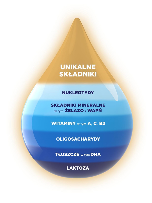 bebilon-2-infografika-2465788-4f6441d