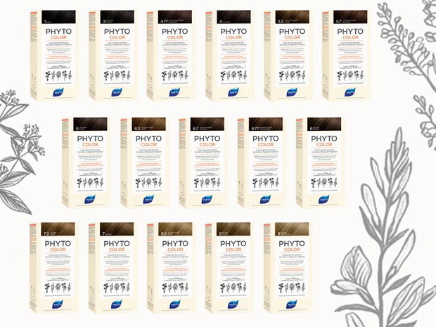 phyto-2432051-41ca55d