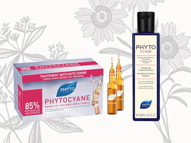 phyto-2432198-b67e53a