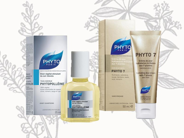 phyto-2432197-f540e6a